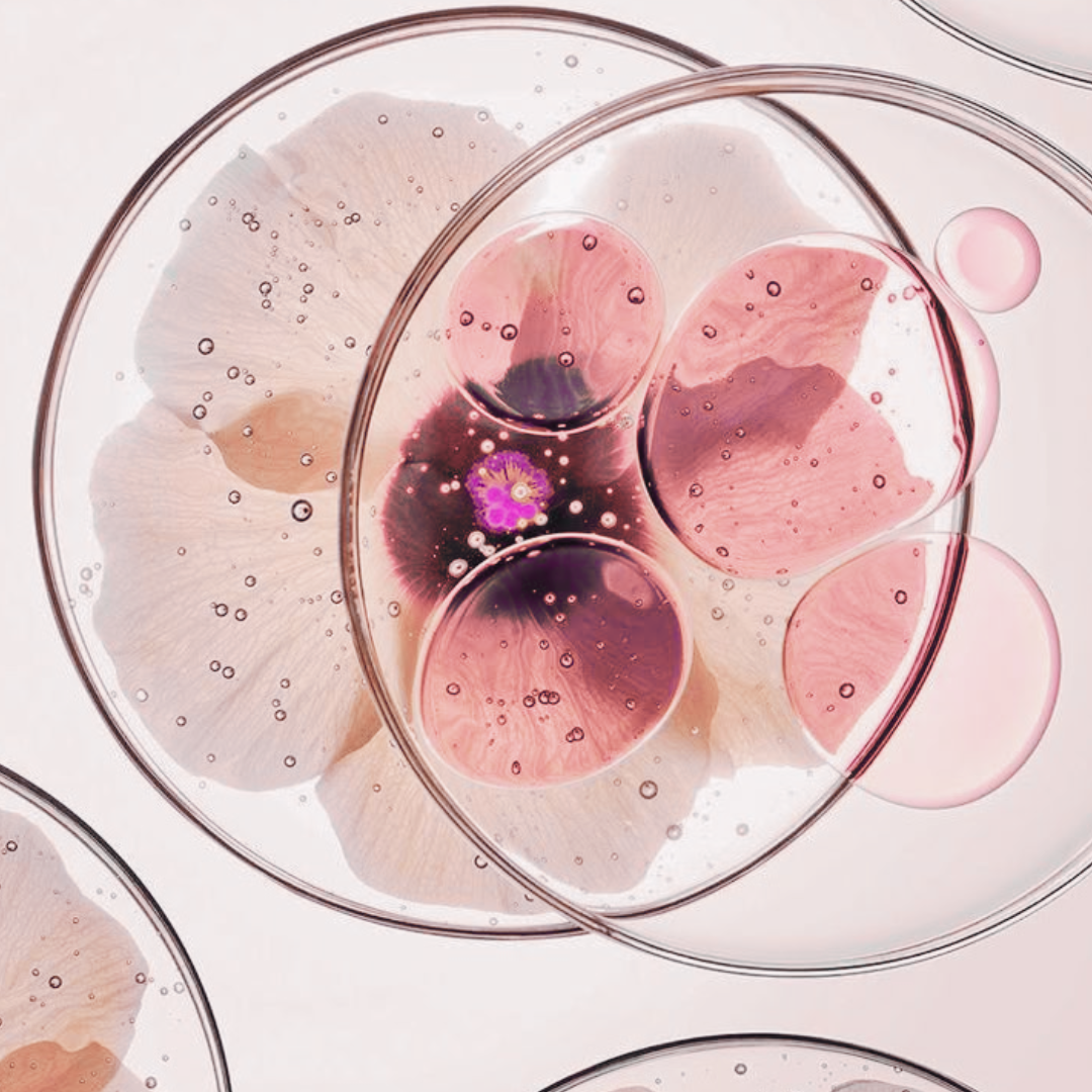 Biotechnology in Skincare - Everything You Need to Know