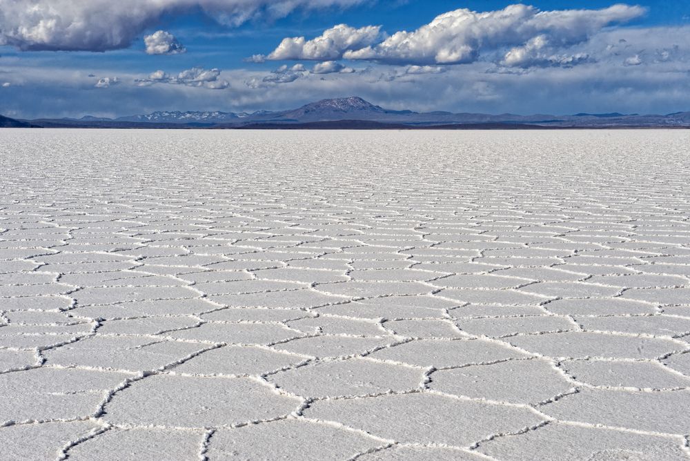 Ectoin salt flats